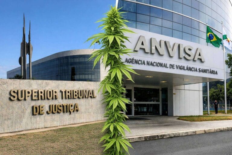 anvisa.regulacao