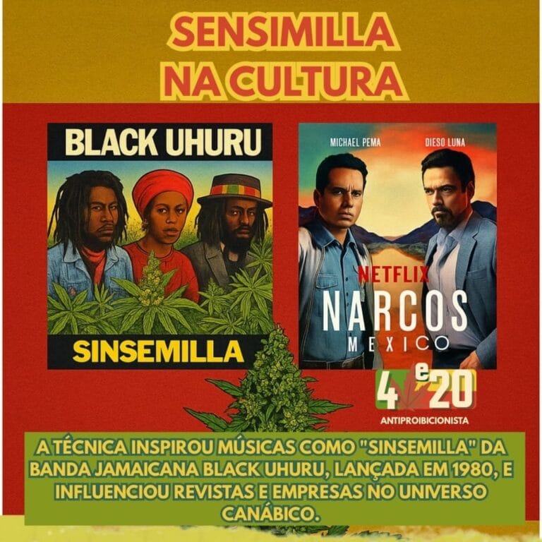 sensimilla-cultura
