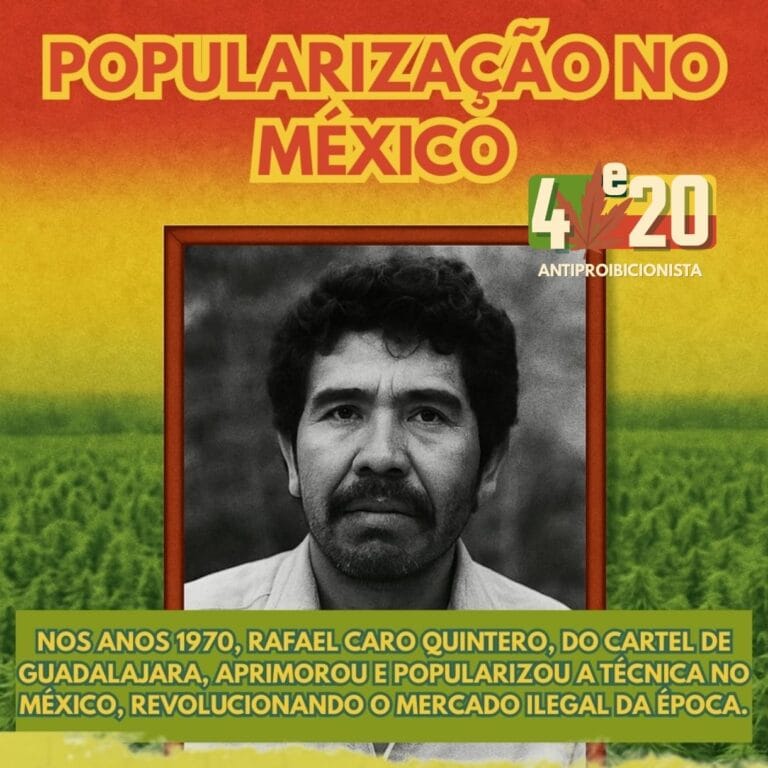 sensimilla-popularizacao